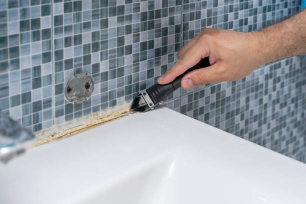 Best Commercial Mold Removal  in Royal Hawaiian Estates, HI